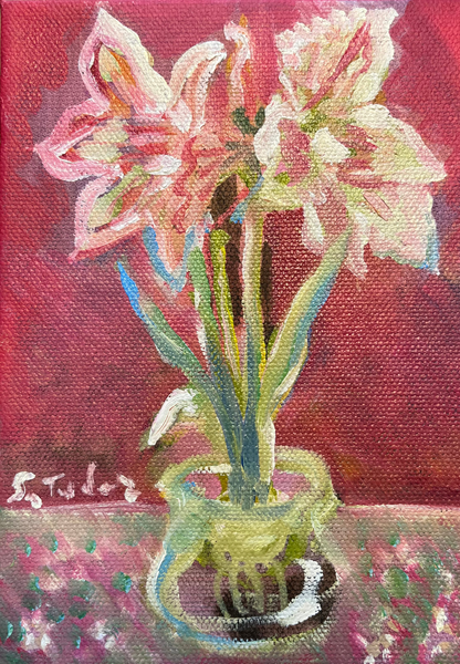 Individual Amaryllis Folded Notecard