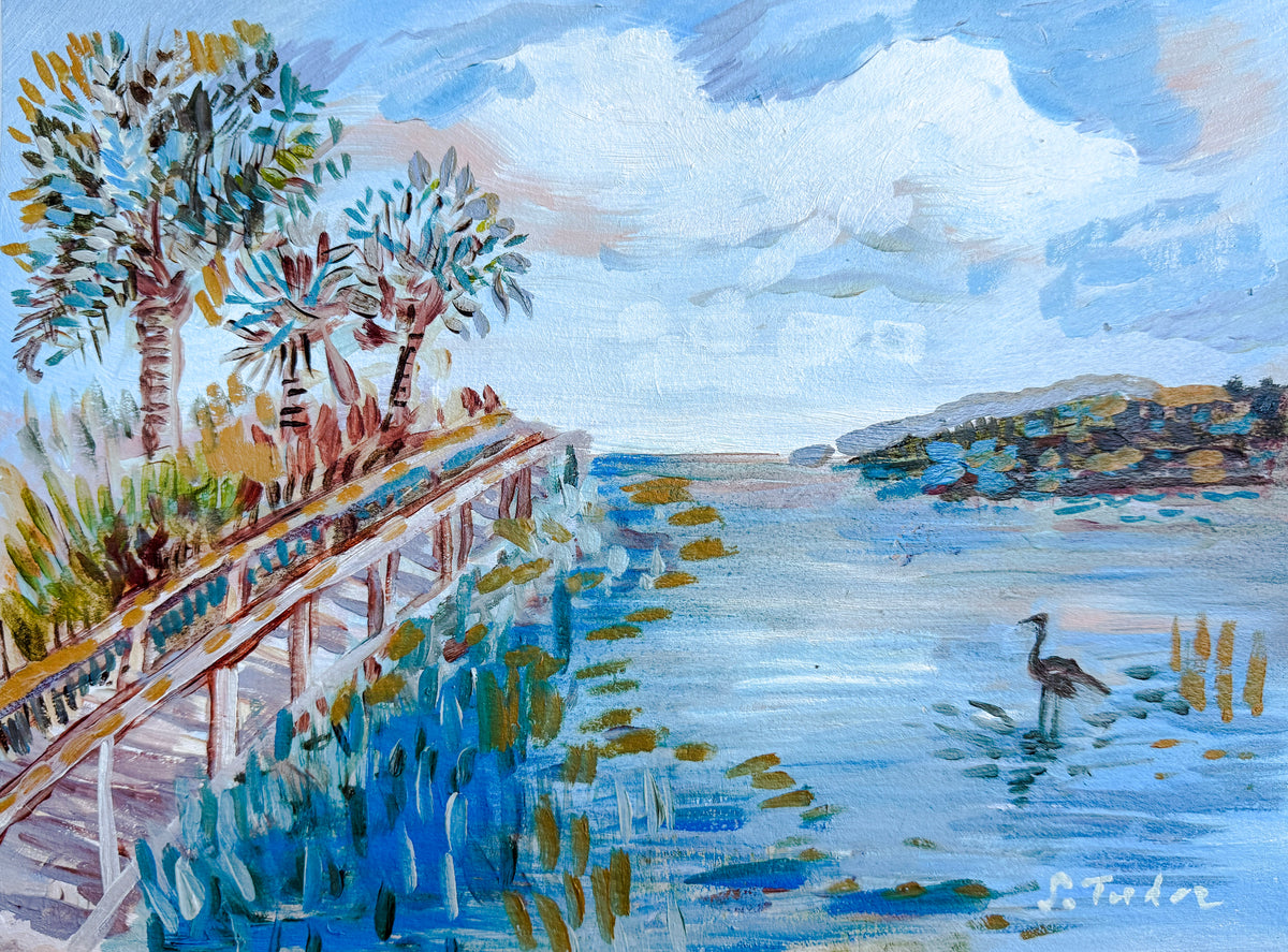 December 2-"Ding" Darling Wildlife Preserve, Sanibel Island, Florida