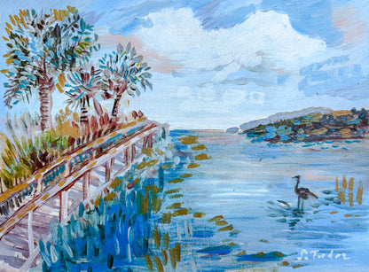 December 2-"Ding" Darling Wildlife Preserve, Sanibel Island, Florida