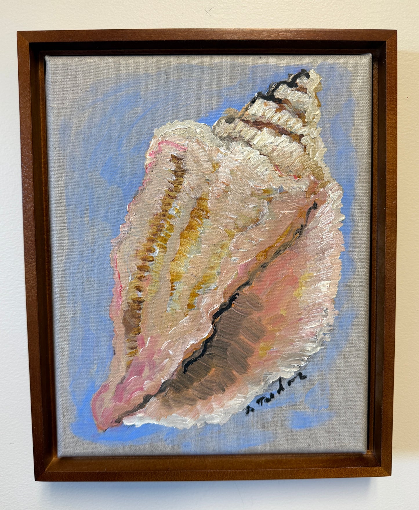 ORIGINAL Knobbed Whelk Shell linen stretched canvas framed