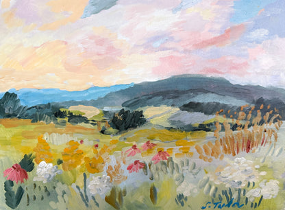 December 24- Vermont Wildflowers