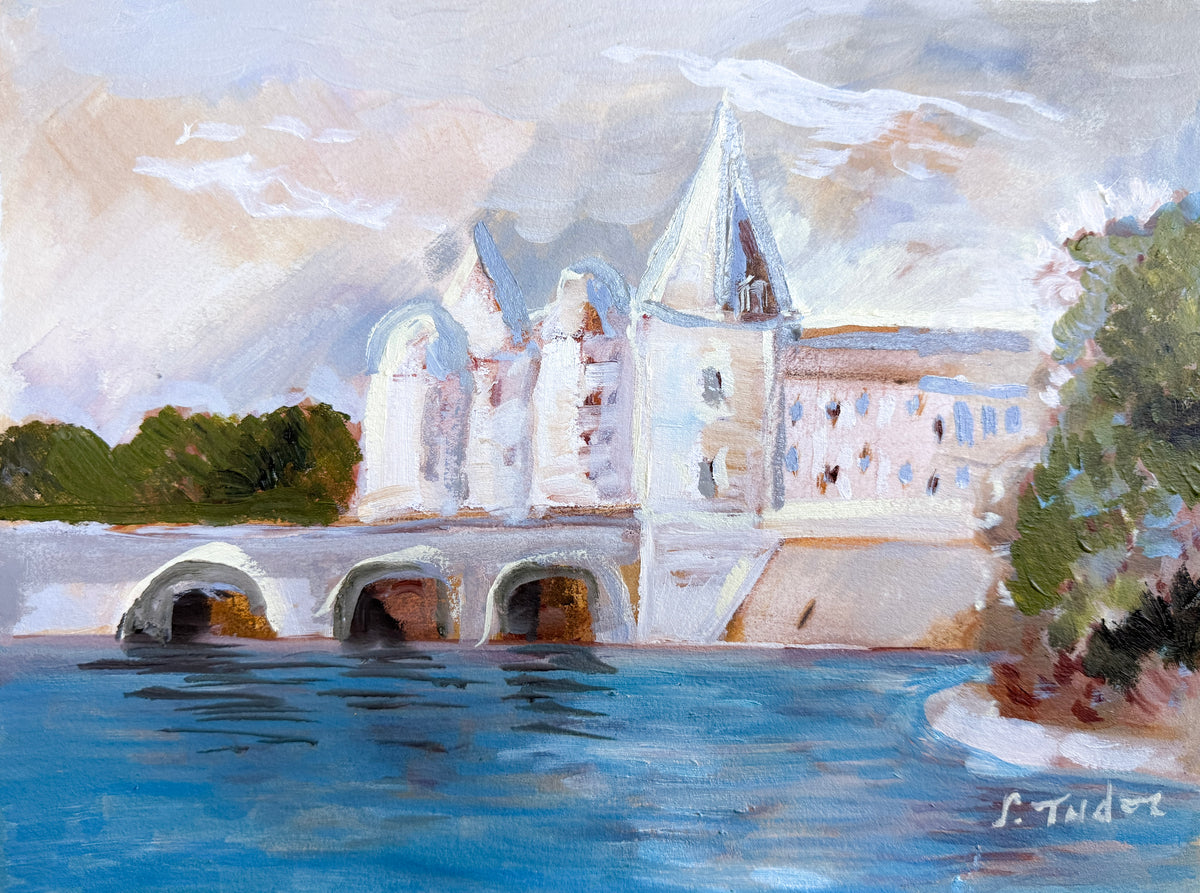 December 4- Pont Henri IV, Loire Valley, France