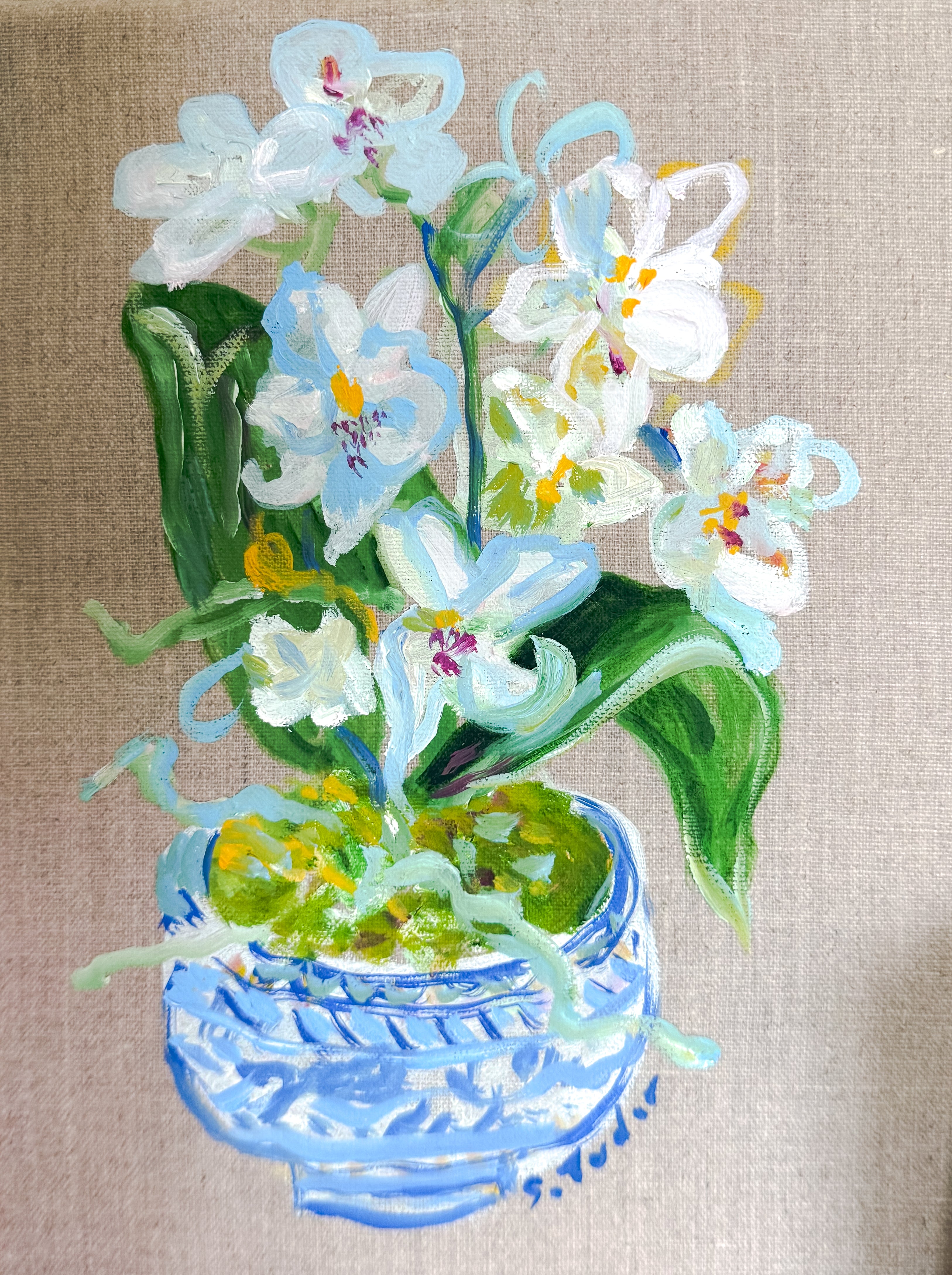 ORIGINAL White Orchids in Chinoiserie Pot (Oil on stretched Linen